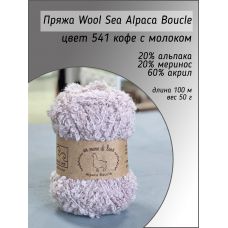 Пряжа Wool Sea Alpaca Boucle, цвет 541 кофе с молоком
